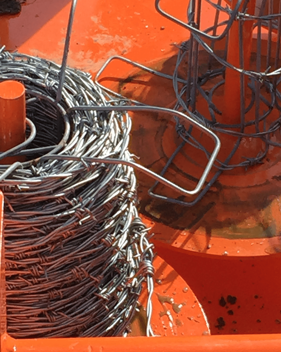 barbwire_hog_detail_2